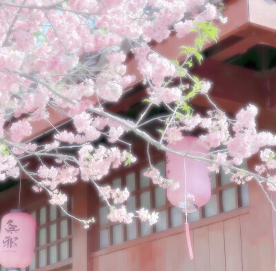 粉