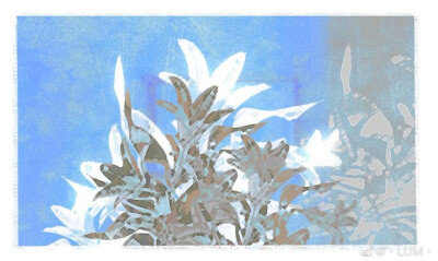 ╭◜◝ ͡ ◜ ͡ ╮
(如果有妹纸)
╰◟◞ ͜ ╭◜◝ ͡ ◝ ͡ ◜◝ ͡ ◜◝ ╮
(和我一起语擦的话..）
╰◟◞ ͜ ◟◞ ͜ ◟◞◞ ͜ ◞ ╯
︿__︿ ᐝ
( T ^ T)
/ Ｏ
しーＪ