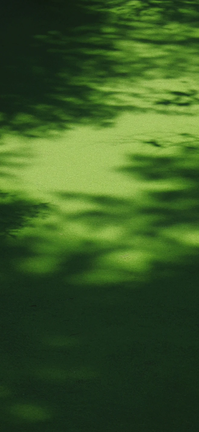 去见山见海