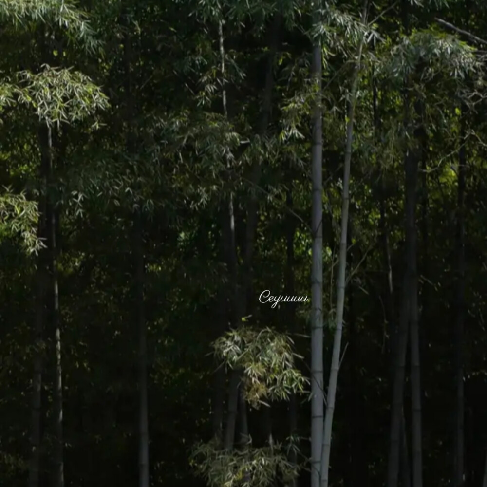 你跟哥说实话 哥没给你发信息的这几个小时 是不是觉得生不如死