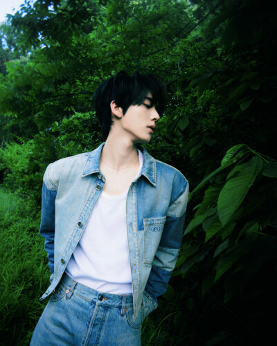 明年夏我们还会再相遇吗？