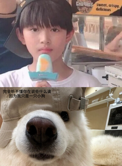 小狗吉吉