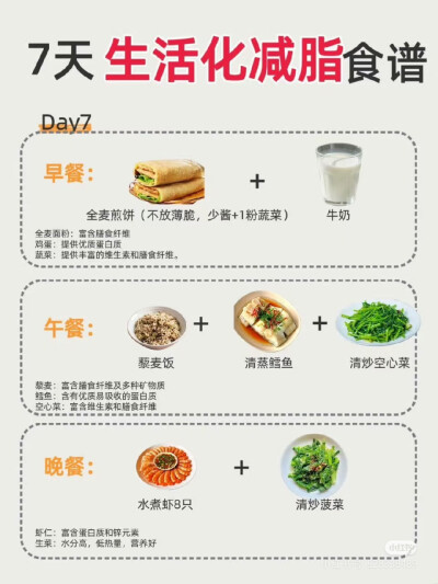七天生活化减脂