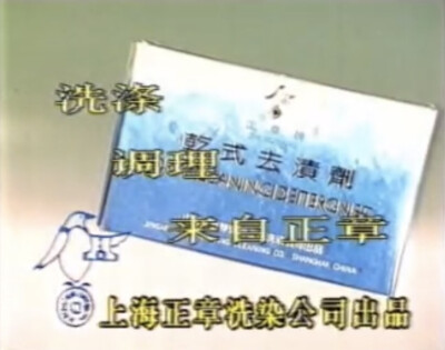 正章 干式去污剂