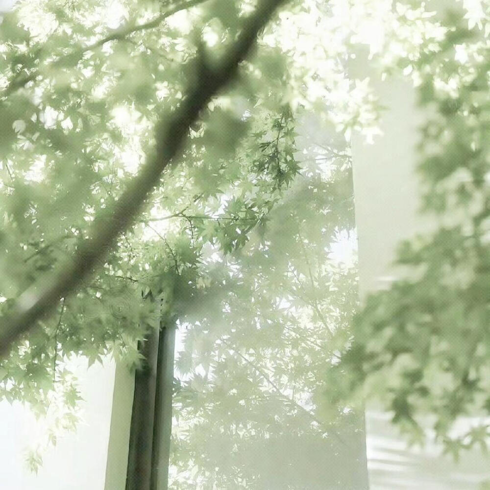 *水面掀起的漣漪是春的來信。