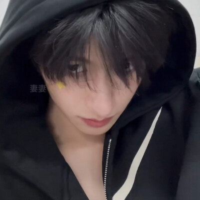 朱志鑫