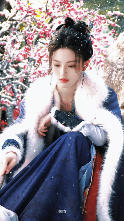 朝雪录