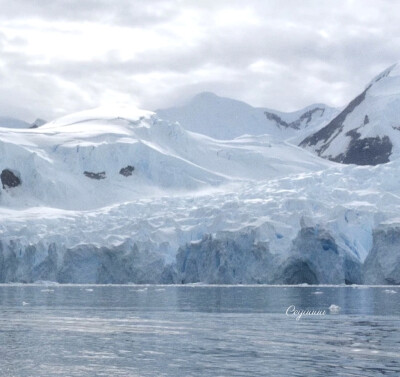 薛柏生日快乐₊⁺♡̶₊⁺