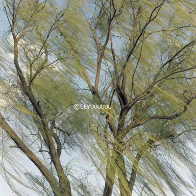 薛柏送给我的艾米 生日快乐！