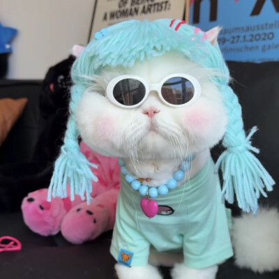 By.球球是只猫 头像截图