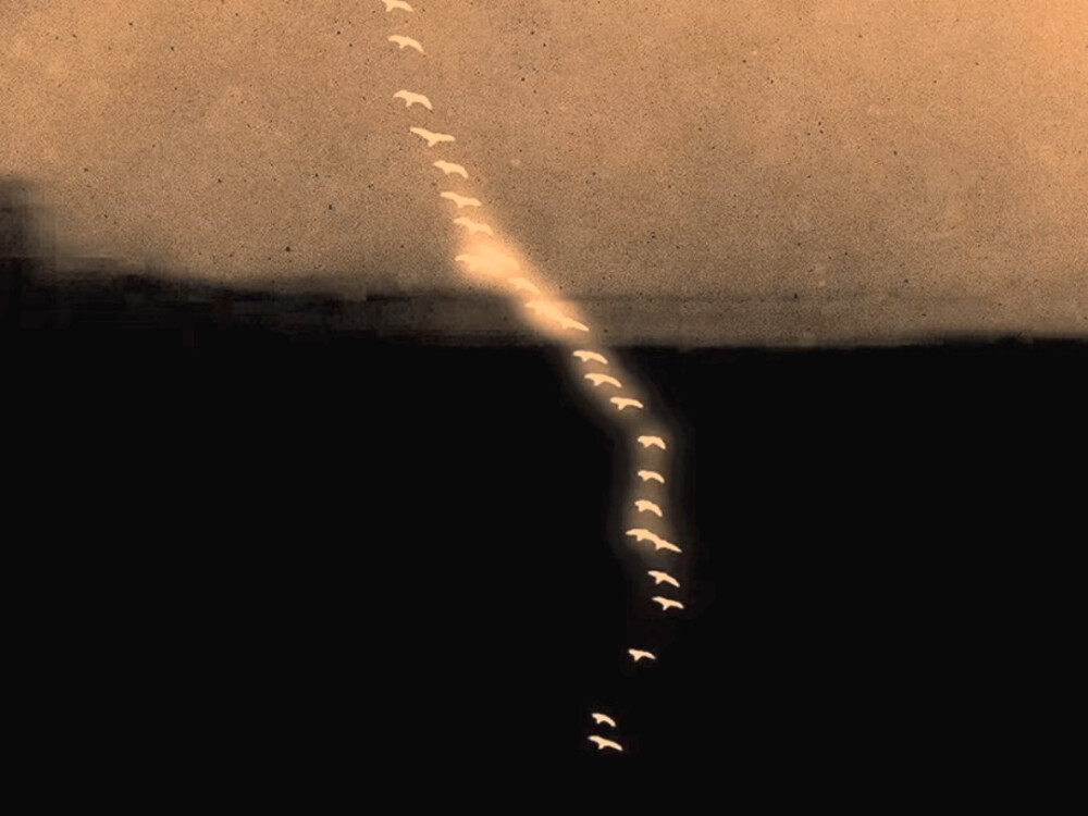 ๑ ᳐>⩊< ᳐๑ıllıııllıl ♡°.•