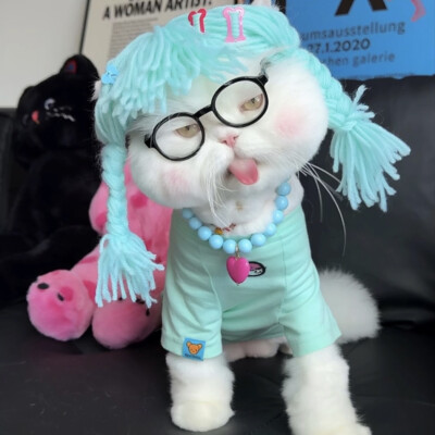 By.球球是只猫 头像截图