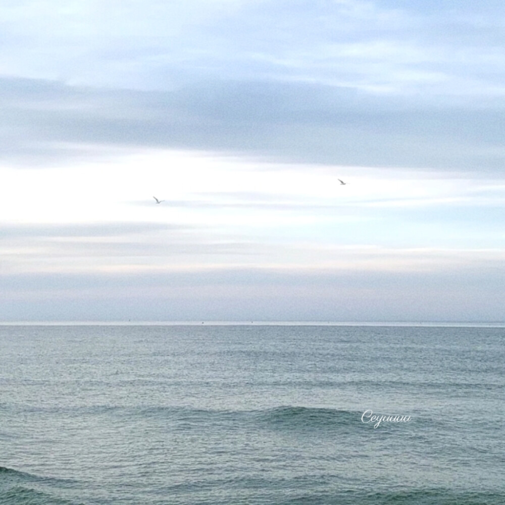 薛柏生日快乐₊⁺♡̶₊⁺