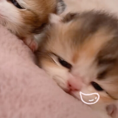 微信