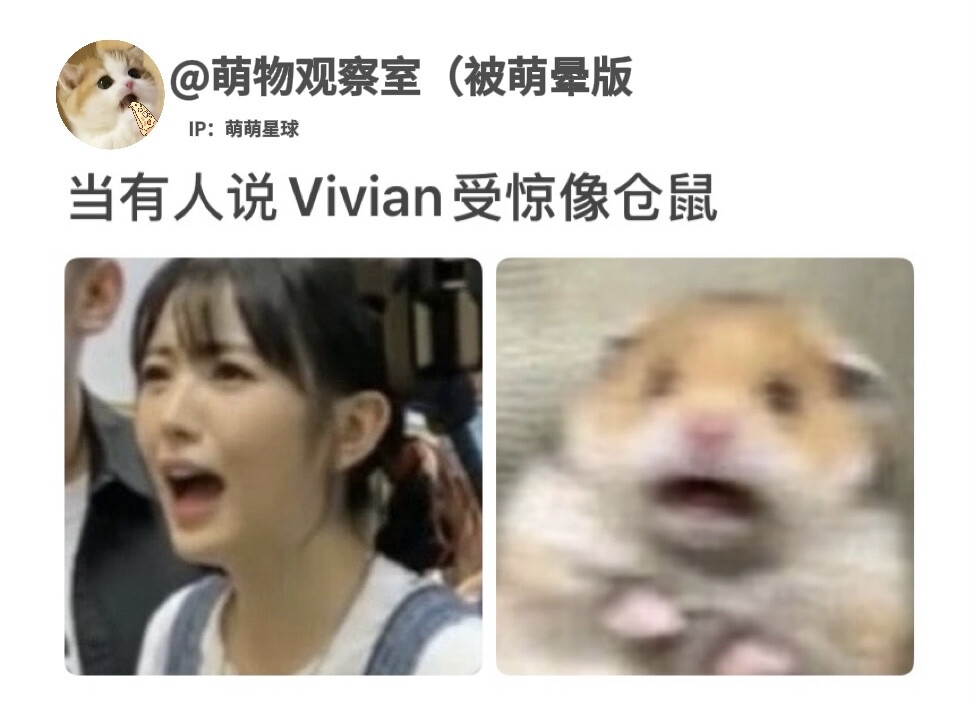 这么萌啊vv