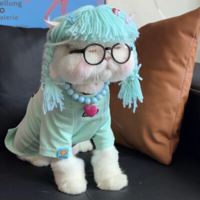 By.球球是只猫 头像截图