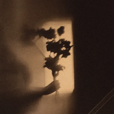 晚霞将褪去，早月像一枚淡淡的吻痕。