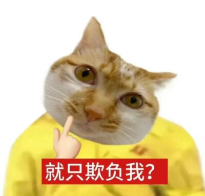 表情包