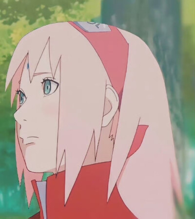 佐樱