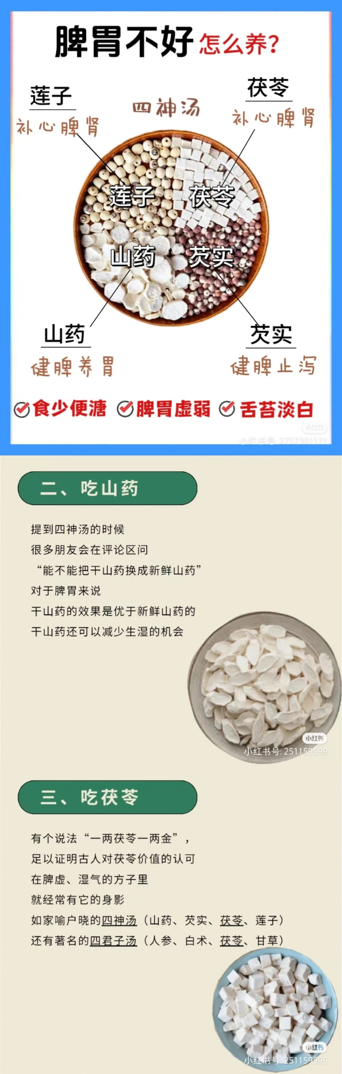 阳光健康～气血@脾胃