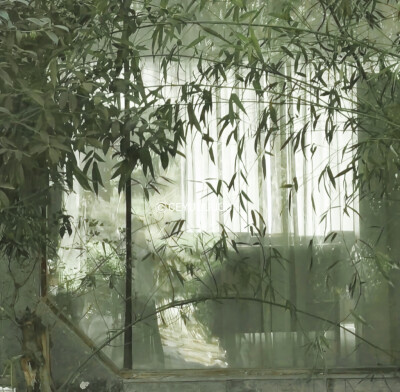 薛柏送给我的艾米 生日快乐！