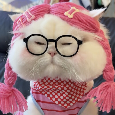 By.球球是只猫 头像截图