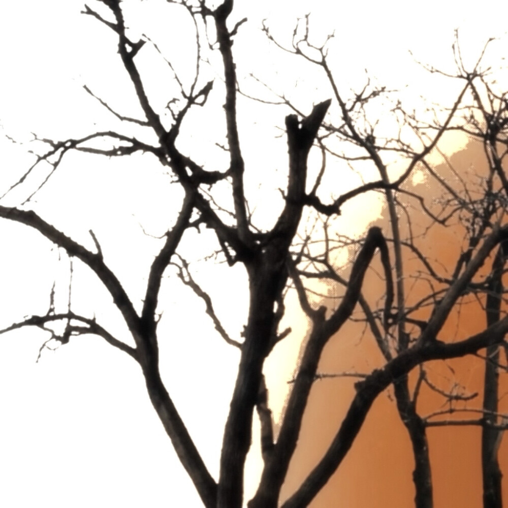 1.及时总结学生课上出现的问题并进行解决
2.巡课核实学生出勤情况，维持课堂秩序，促进课堂正常进行
3.对家长提出的问题做出及时反馈
4.认真分析学生学习遇到的问题并予以解决，就考试成绩进行针对性辅导