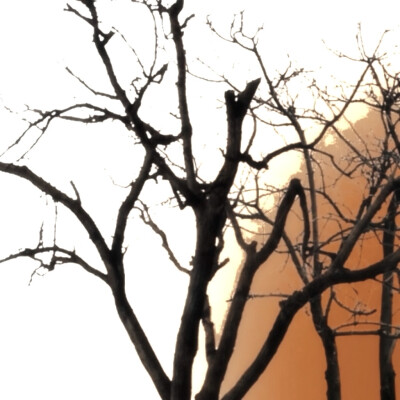 1.及时总结学生课上出现的问题并进行解决
2.巡课核实学生出勤情况，维持课堂秩序，促进课堂正常进行
3.对家长提出的问题做出及时反馈
4.认真分析学生学习遇到的问题并予以解决，就考试成绩进行针对性辅导