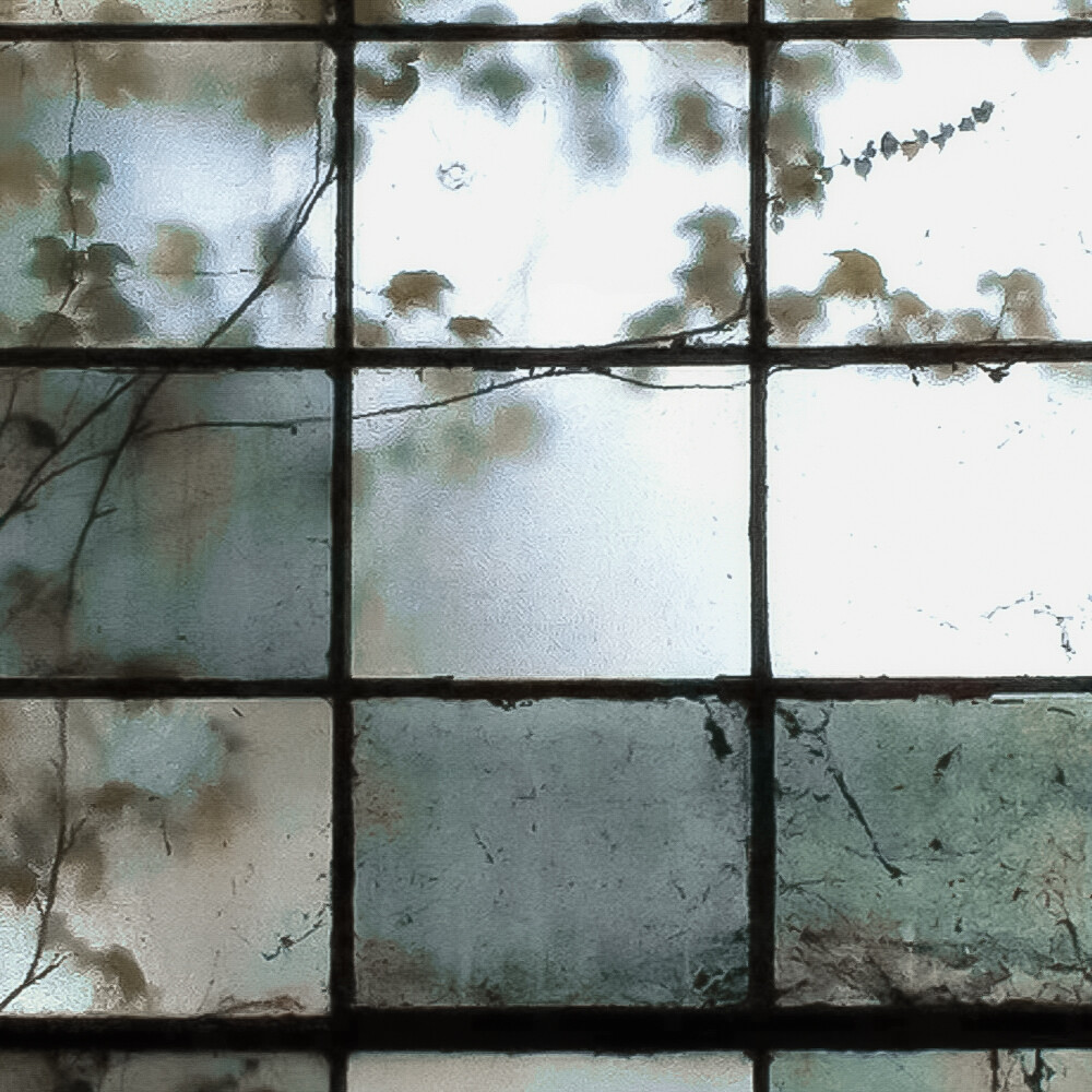 你怎么知道我又收到了初植的绝美艾琳(✧∇✧)