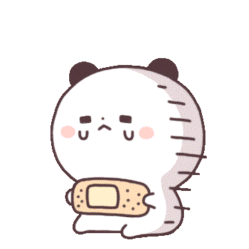 小熊猫