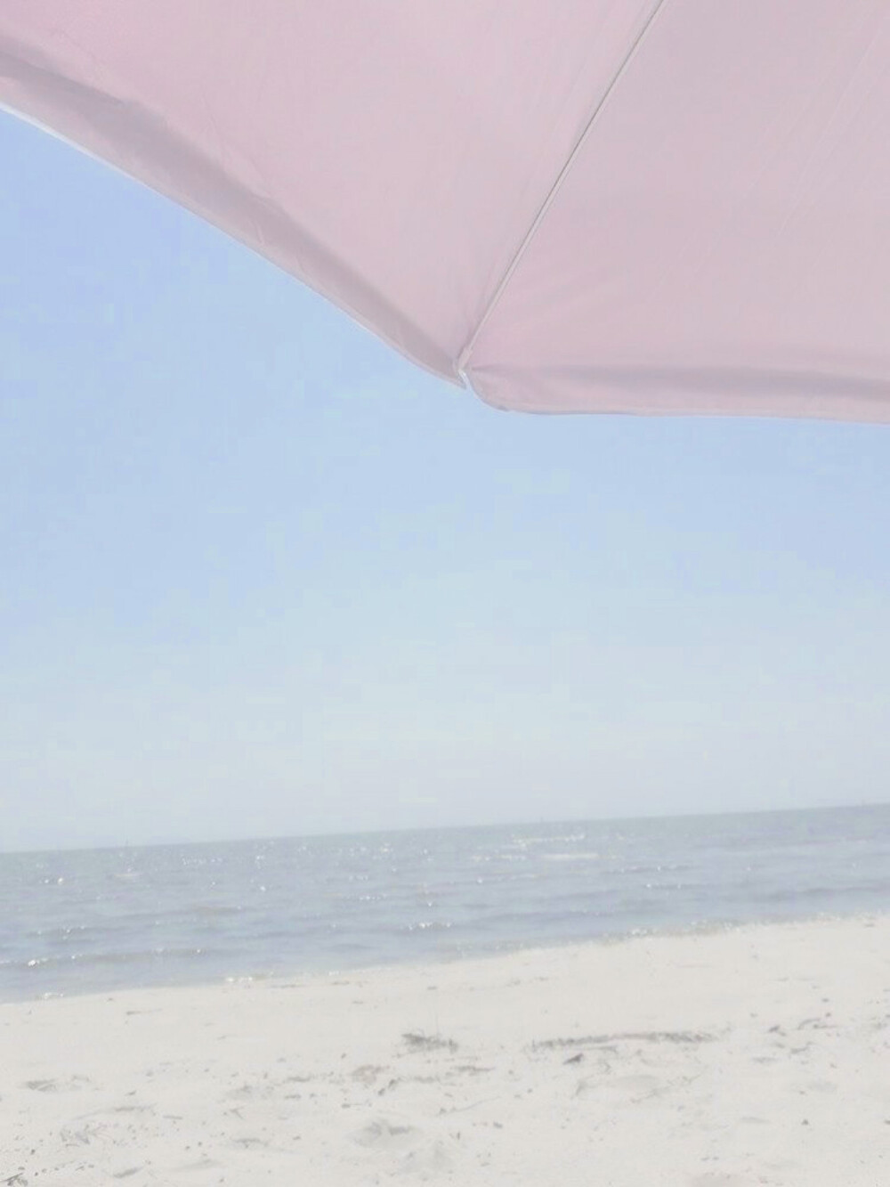 嗯对 收到谭译老师送来的美图了