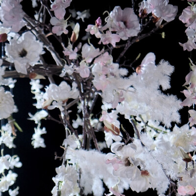 桃花谢了春红 太匆匆 无奈朝来寒雨晚来风 胭脂泪相留醉 几时重 自是人生长恨水长东