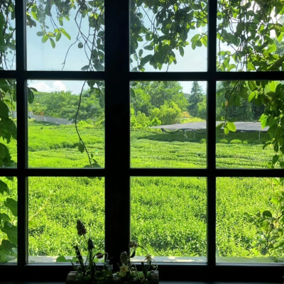 背景图