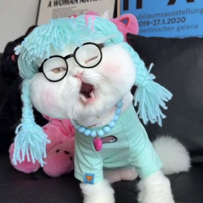 By.球球是只猫 头像截图