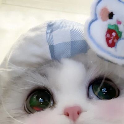 哼