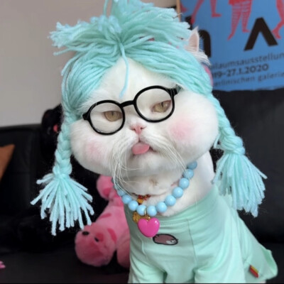 By.球球是只猫 头像截图
