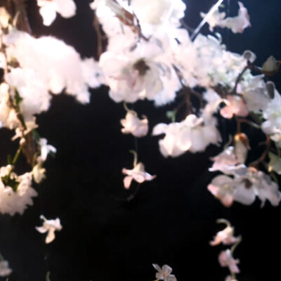 桃花谢了春红 太匆匆 无奈朝来寒雨晚来风 胭脂泪相留醉 几时重 自是人生长恨水长东