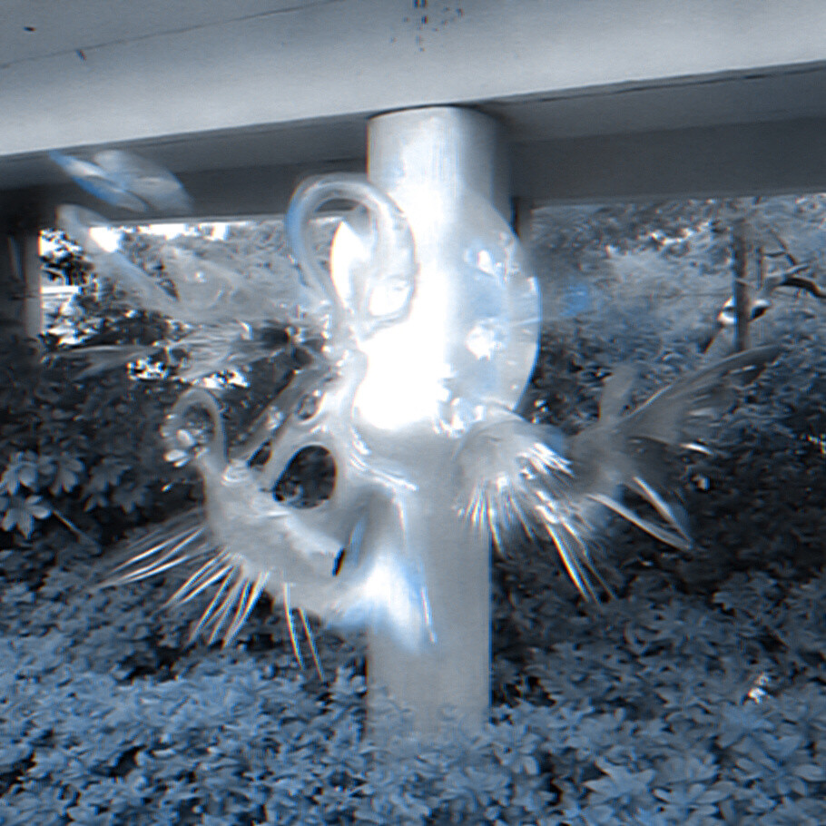 ⋆.˚⟡⊹₊⋆埜鸢☆⋆✮★