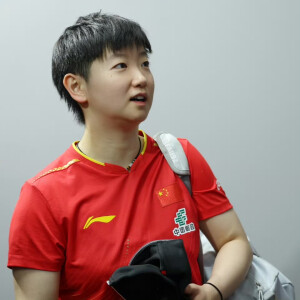 小太阳鲨鱼日记