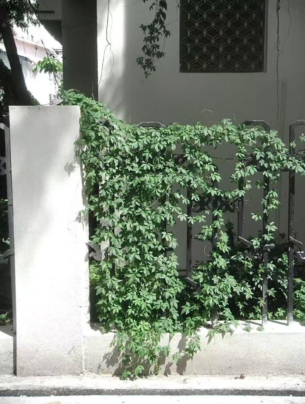 指腹的淤青是时间悖论的从众之徒