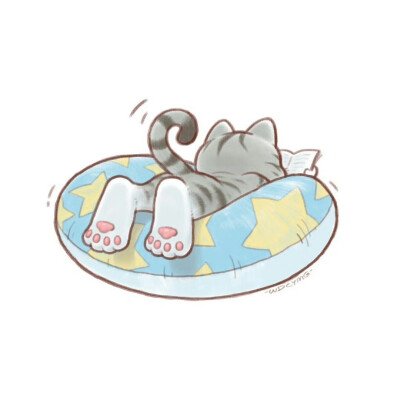 炎炎夏日里，趴在游泳圈上看书的猫咪