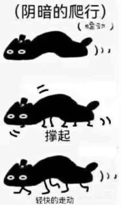 克猫猫表情包