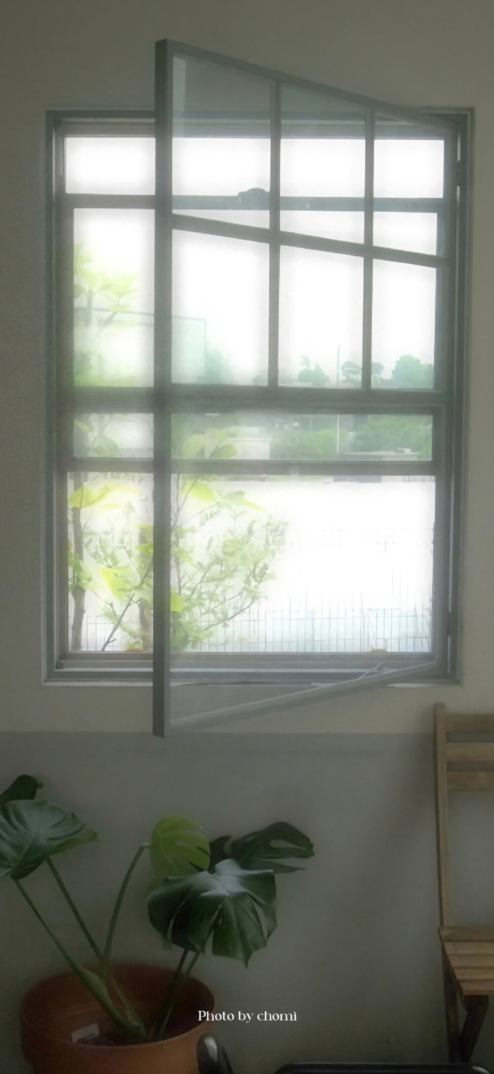 壁纸
