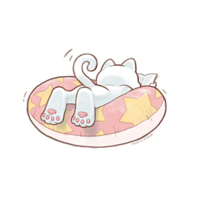 炎炎夏日里，趴在游泳圈上看书的猫咪