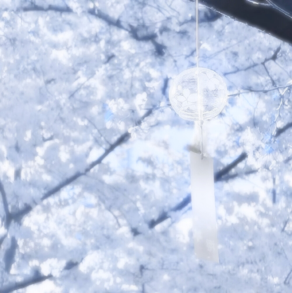 自由一词是不能被意思本身困住的 要像鸟儿去看没有边际的天空