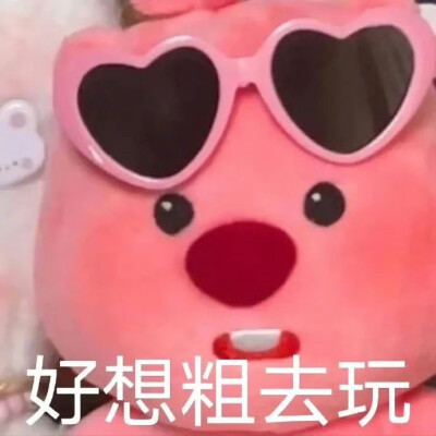 loopy表情包