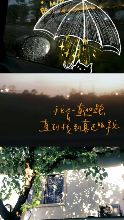 壁纸