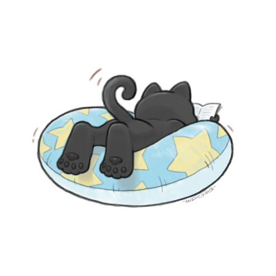 炎炎夏日里，趴在游泳圈上看书的猫咪