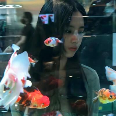 优质女头