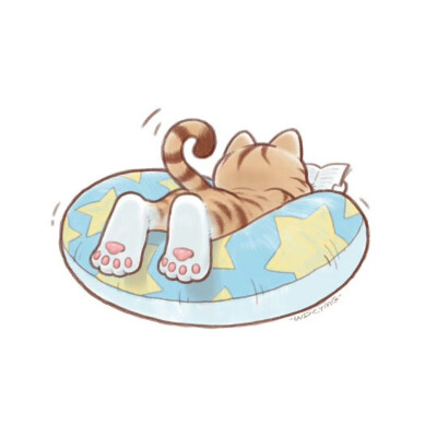 炎炎夏日里，趴在游泳圈上看书的猫咪